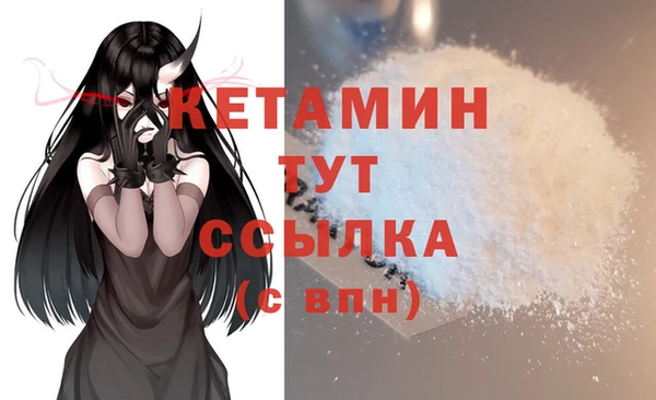 дживик Бородино