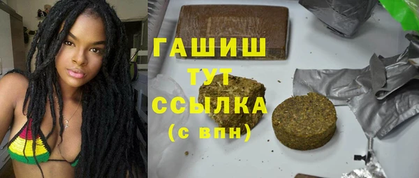 дживик Бородино
