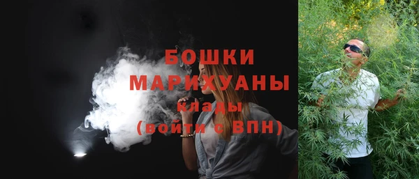 бошки Бронницы
