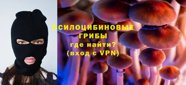 бошки Бронницы
