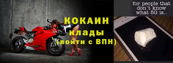 бошки Бронницы