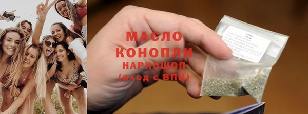 дживик Бородино