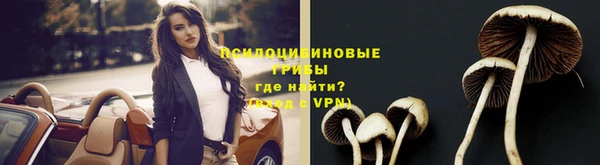 дживик Бородино