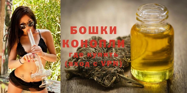 дживик Бородино