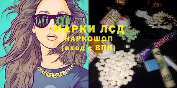 дживик Бородино