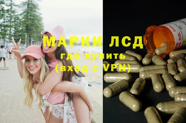 дживик Бородино