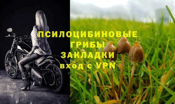 дживик Бородино