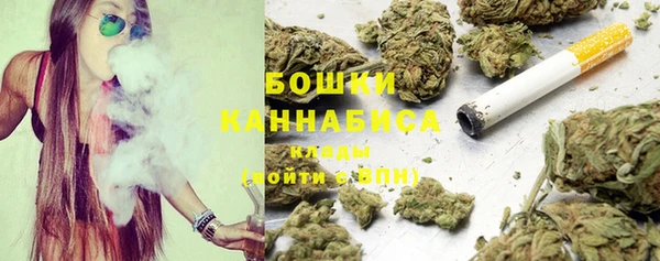 бошки Бронницы