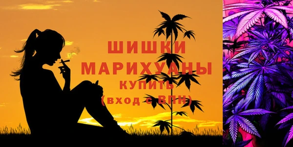 дживик Бородино